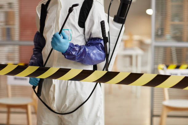 Professional Hoarding Cleanup technician working in Warren, AR